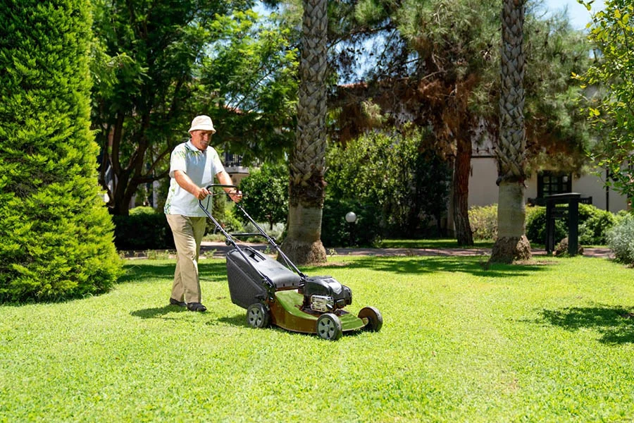 what is the best electric mower